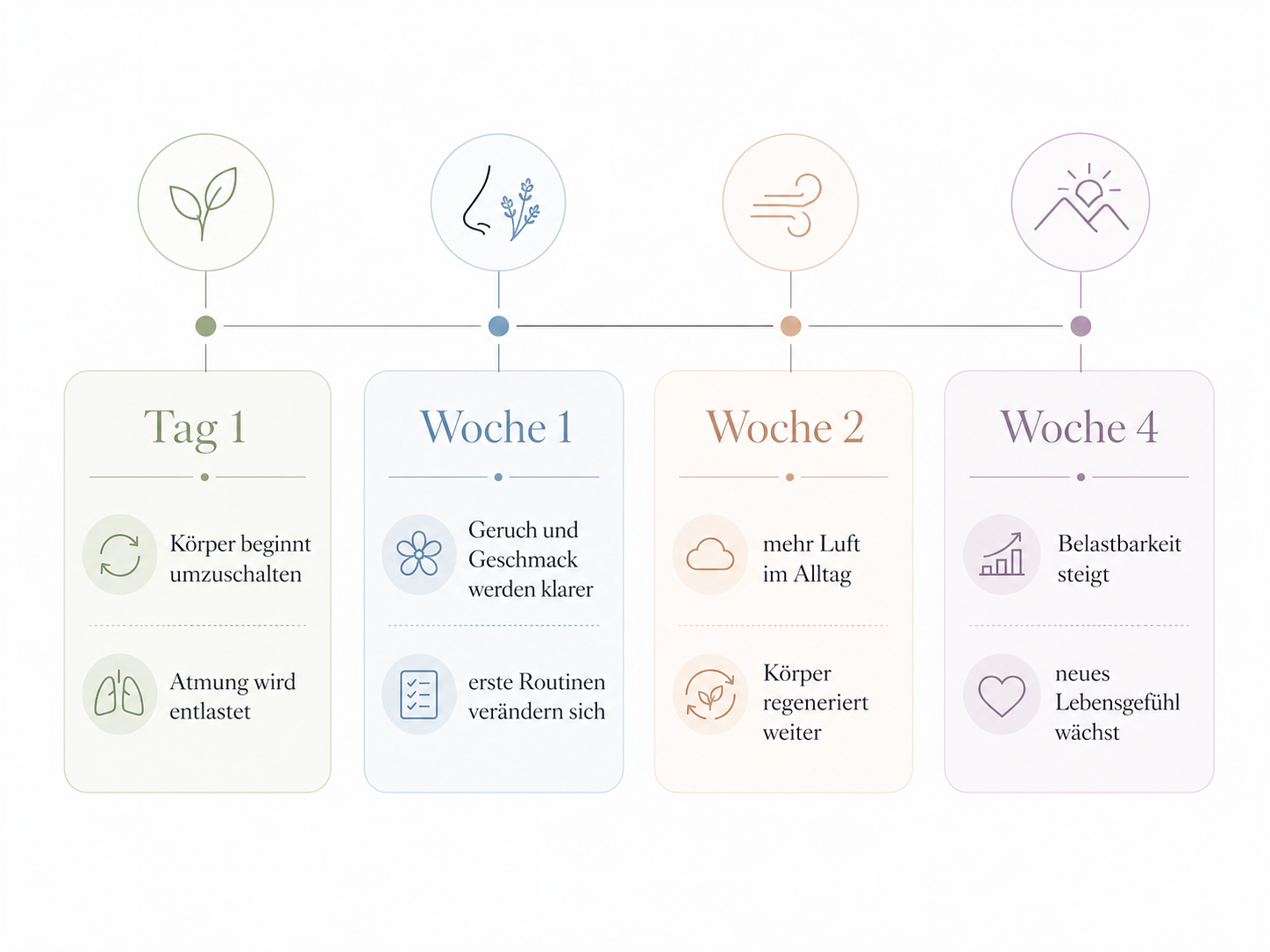 Timeline-Grafik